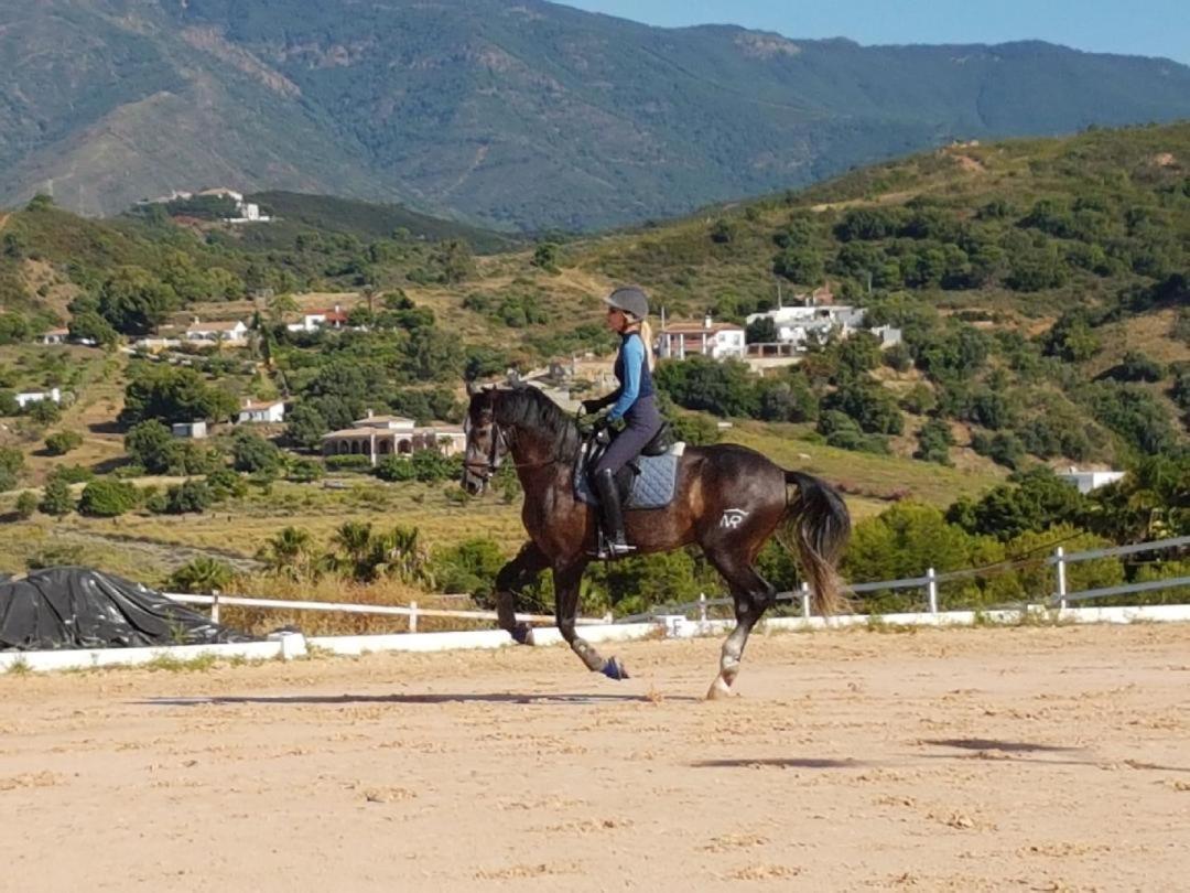 Les Chevaux De Coeur Bed and Breakfast Estepona Exterior foto