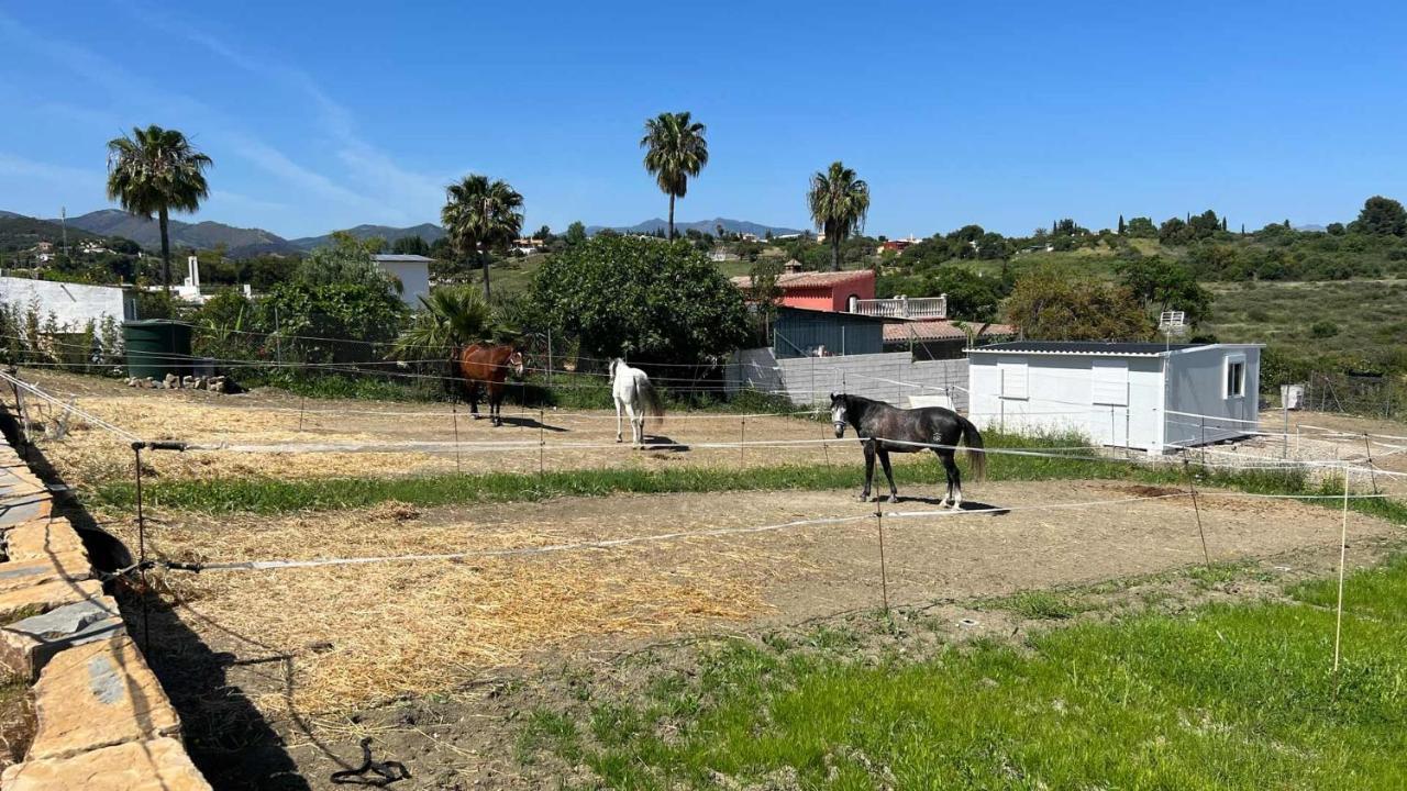 Les Chevaux De Coeur Bed and Breakfast Estepona Exterior foto